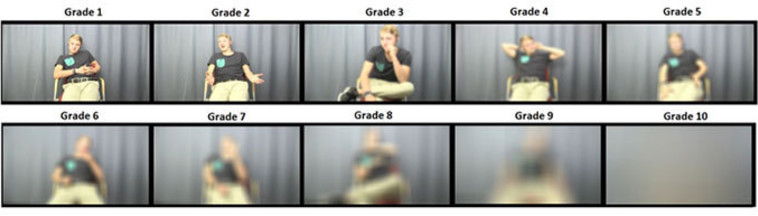 עשרה שלבים של שינוי באיכות תמונת הווידאו (צילום: מתוך מאמר המחקר, James Trujillo, Radboud University)