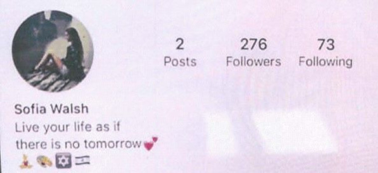 פרופיל בשימוש האיראנים - שב''כ חשף ניסיונות איראנים למשיכת אנשי עסקים ואקדמיה לחו''ל