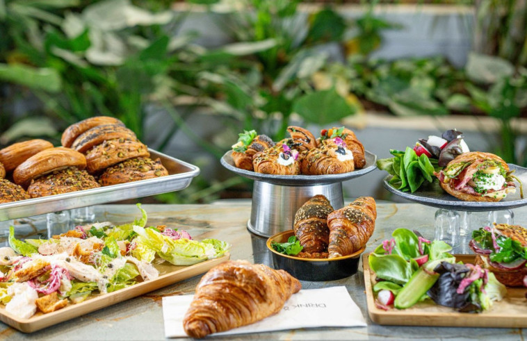 שחיתות מטורפת של צורי אגמי