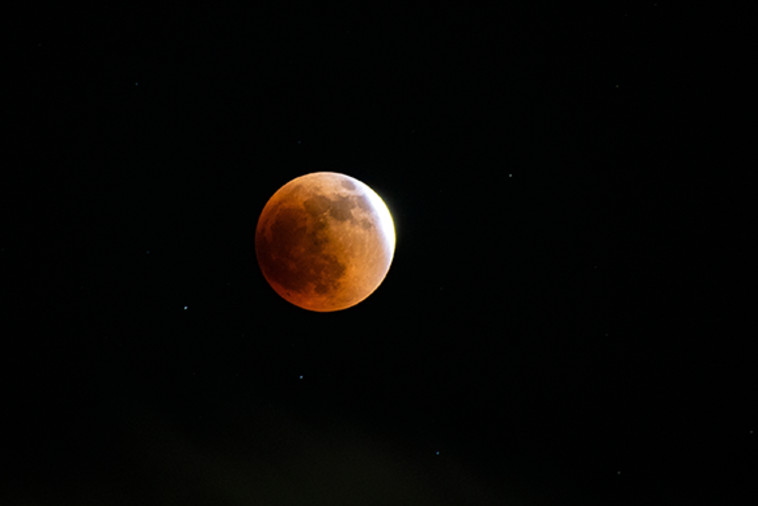 ליקוי הירח כפי שצולם בפלורידה השבוע (צילום: Aline Deodato, Shutterstock)