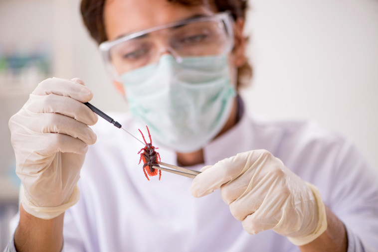 ניסויים בבעלי חיים, אילוסטרציה