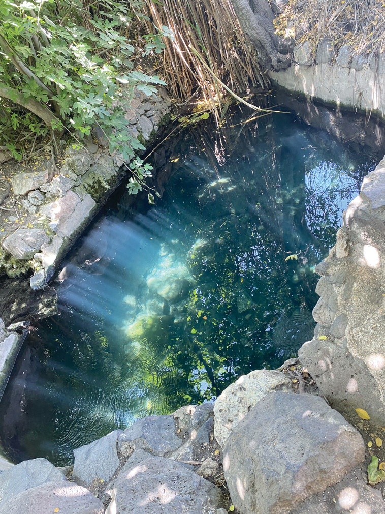 חמאם בנות יעקב