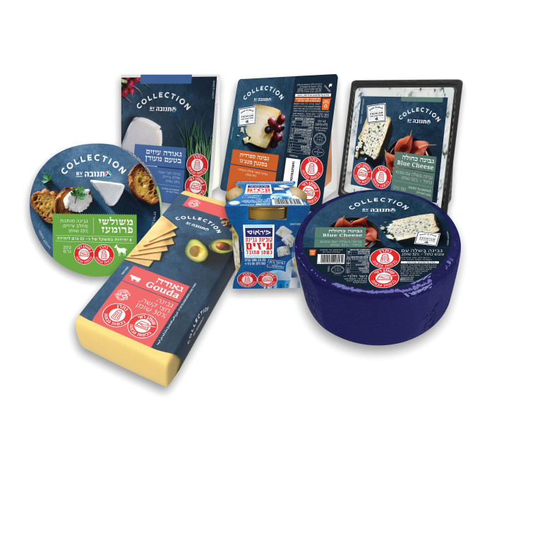 מוצרים חדשים שבועות תנובה