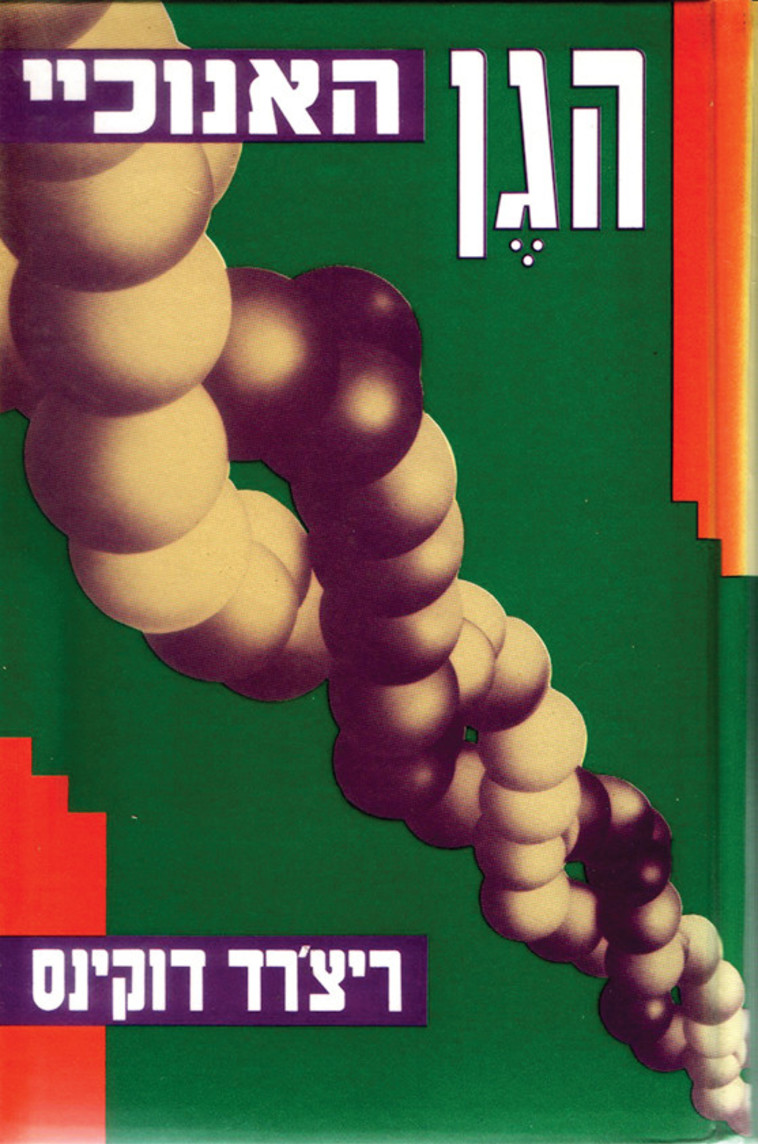 כריכת הגן האנכי 