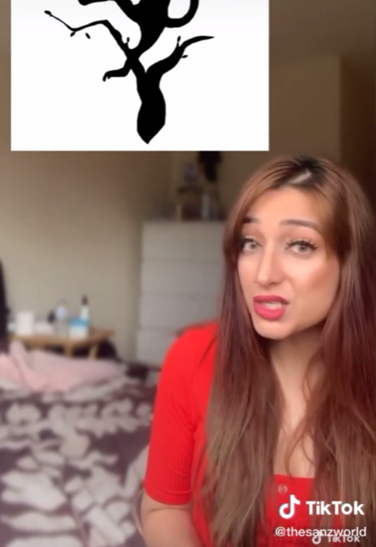 כוכבת ה-TikTok מסבירה מה הדבר שראיתם קודם, אומר עליכם