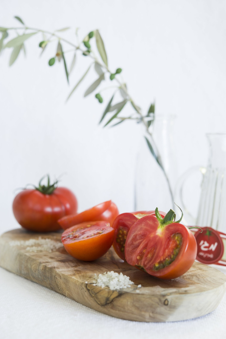 עגבניות המגי (צילום: יחצ)