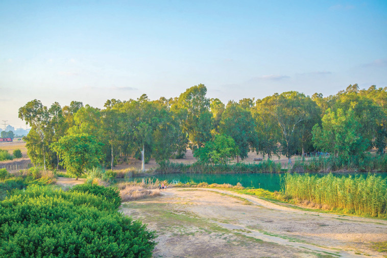 ירקון תל אפק