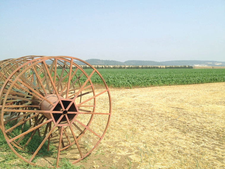 עמותת התיירות כרמלים