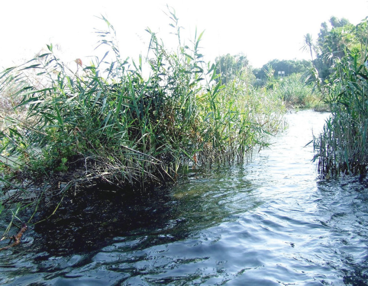 מכפר נחום לטבחה, נביעת מפל איו, בריכת הרמה