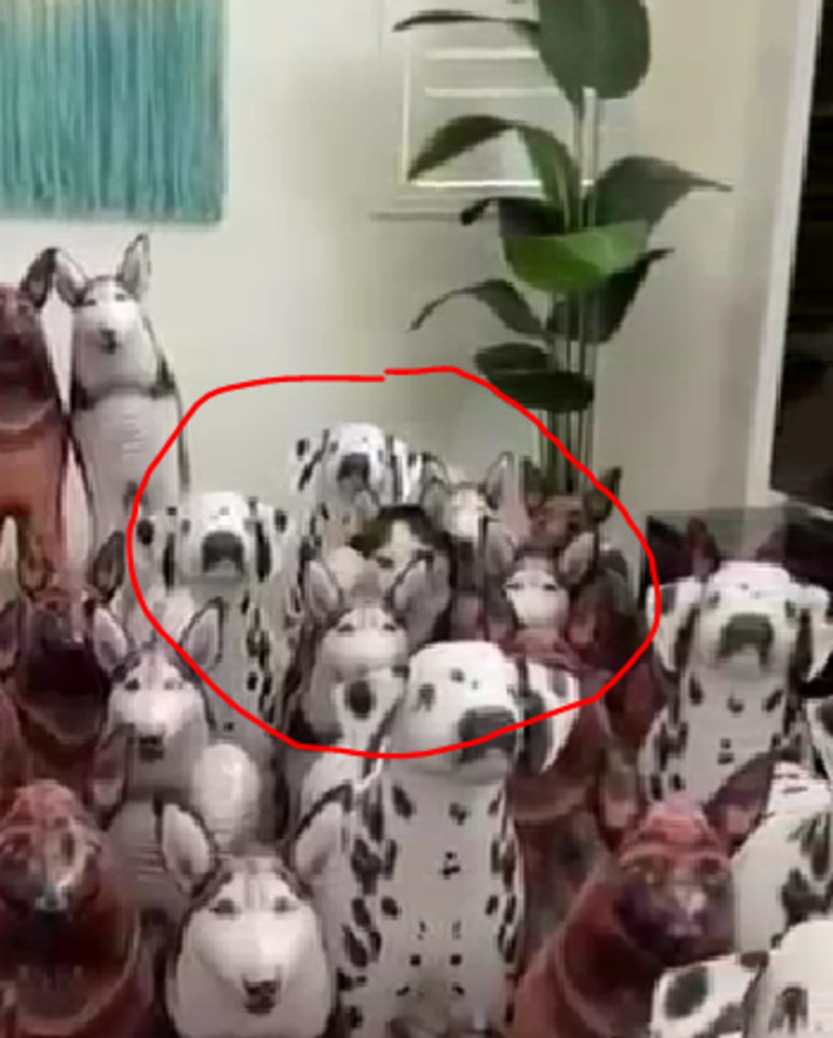 בסוף החדר, מתחת לעציץ