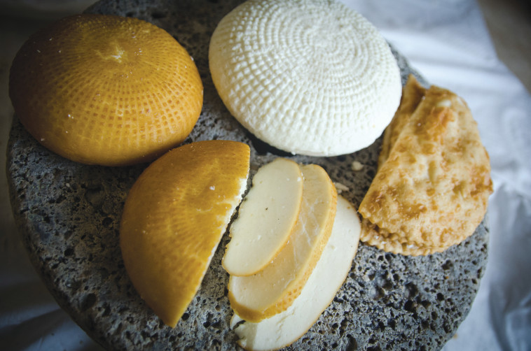 גבינות של מחלבת אלברוס  