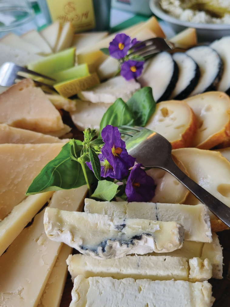 גבינות עין כמונים  