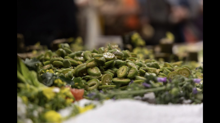 מנות צמחוניות