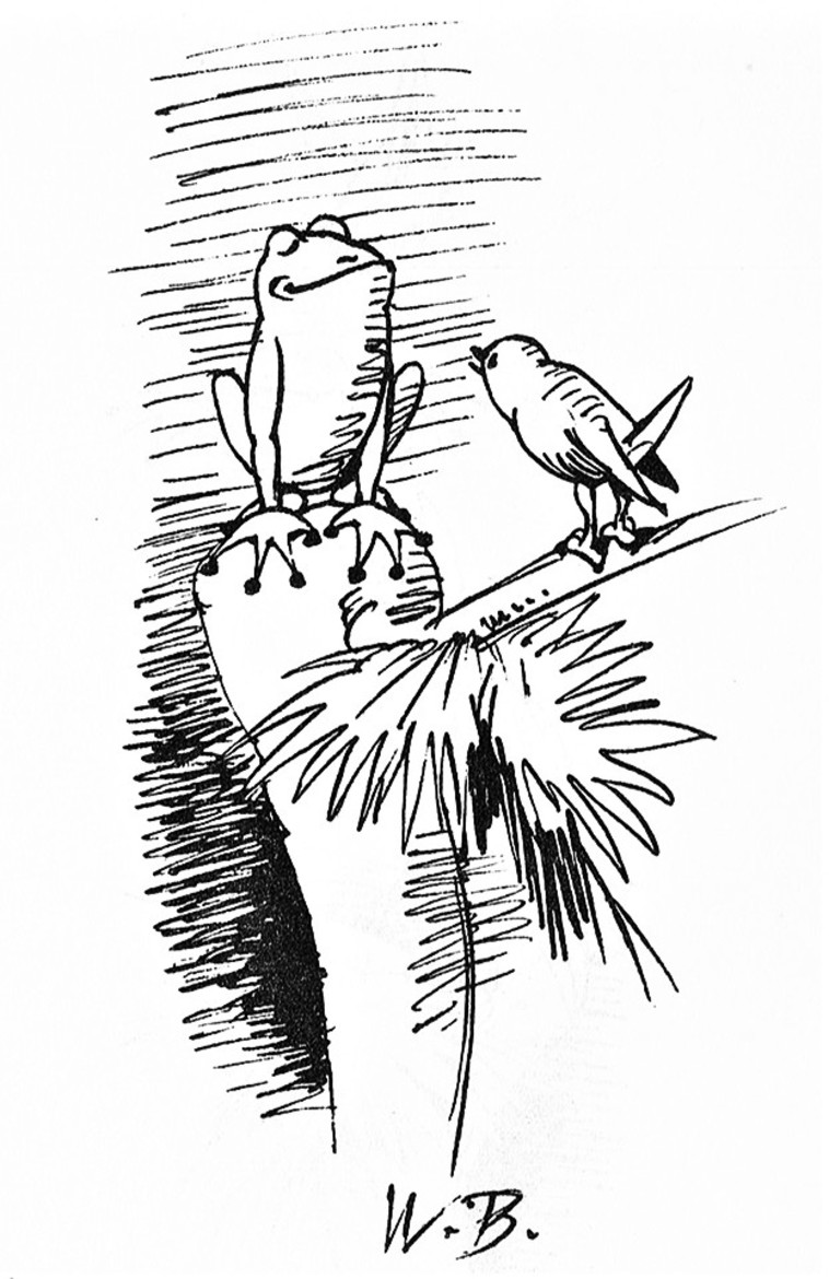 ציור של וילהם בוש