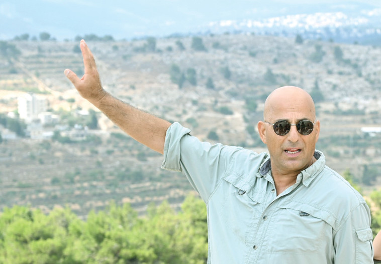 שאול אריאלי 