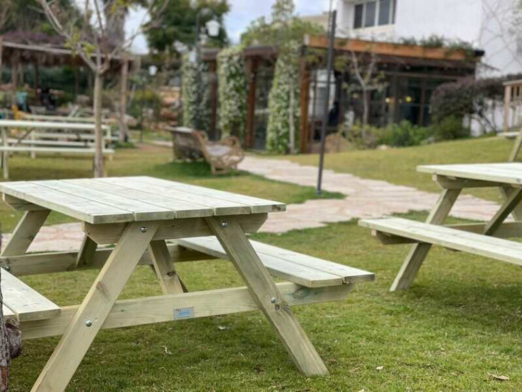 עץ אורן פיני דרגה 5- עץ בהיר, יפה ונוח מאוד לבנייה של שולחנות קק''ל