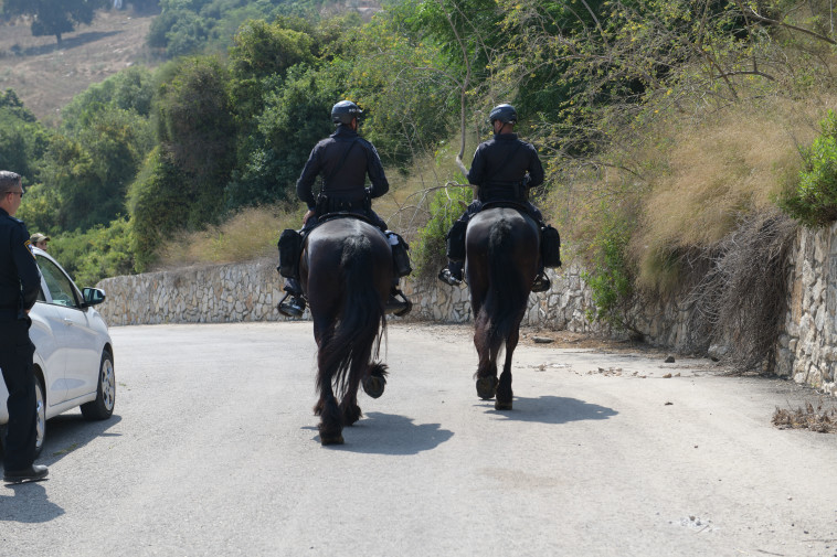 החיפושים אחר ספיר נחום