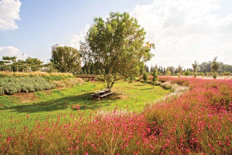 מתחם נחל כופר - פארק אריאל שרון 