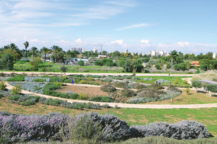 גינת התבלינים במתחם חוות שלם בפארק אריאל שרון