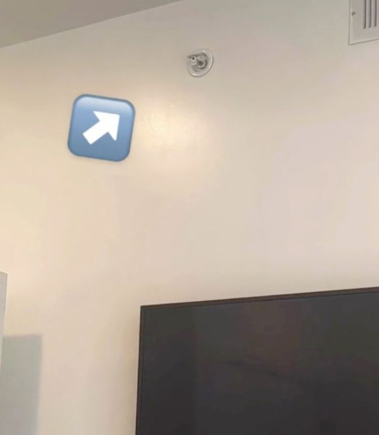 מזעזע! מצלמות נסתרות בכל הדירה