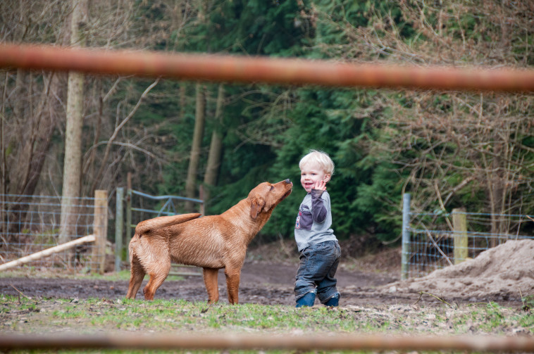 המוח שלהם מייצר כימיקלים דומים בתגובה לקשר עם הבעלים
