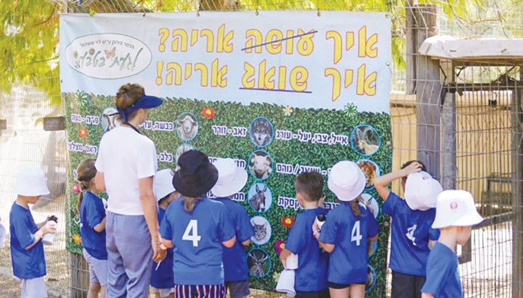 קייטנת פלייטיקה