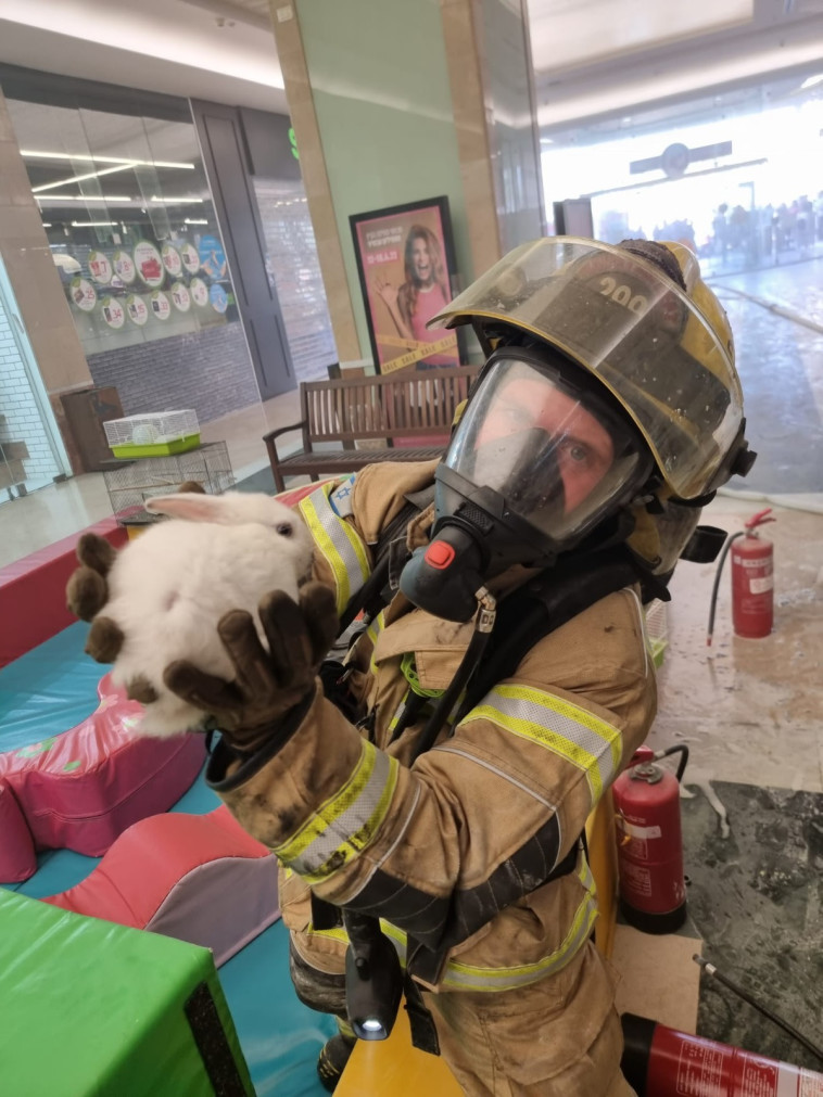 ארנב מחולץ מחנות החיות שעלתה באש ב''קריון'' בקרית ביאליק