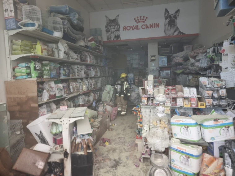 חנות החיות שנשרפה ב''קריון''