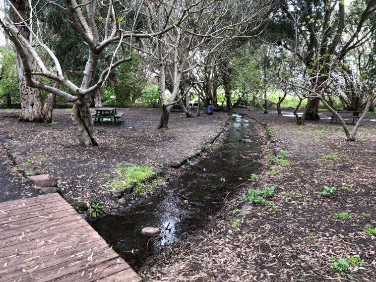 חניון דרדרה