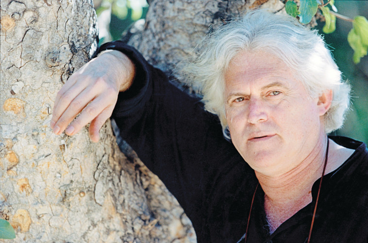 מאיר ויזלטיר