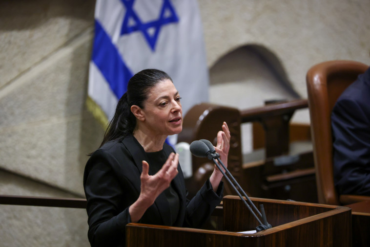 מרב מיכאלי במליאה