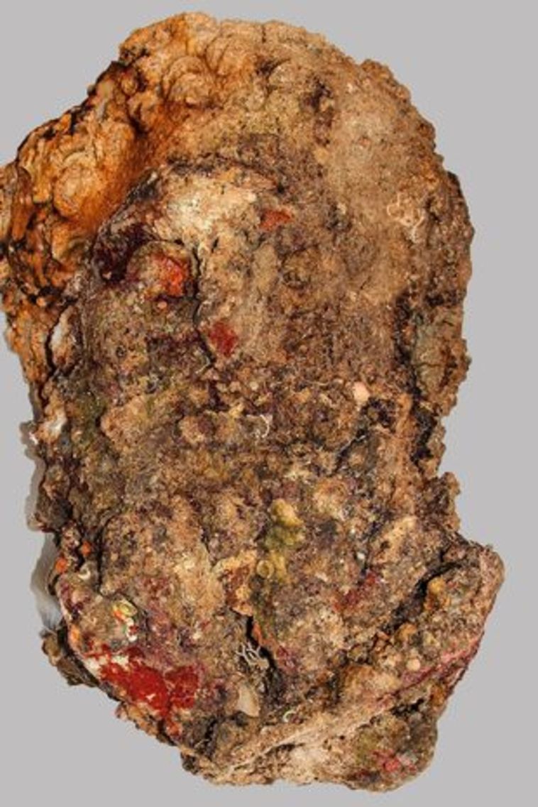 קשה לזהות, אך זה אכן הממצא המדובר