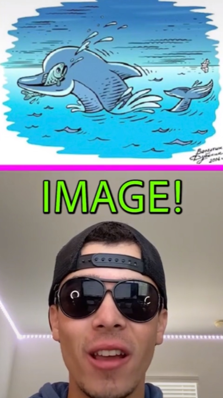 מהי החיה שמסתתרת בתמונה הזו?