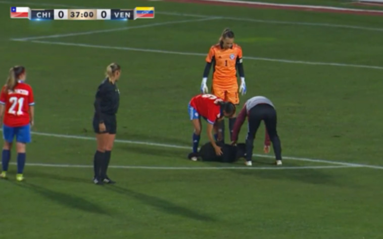 מנסים לפנות את הכלב מהמגרש, אך הוא המשיך להתרוצץ