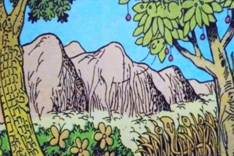 תוך כמה זמן הצלחתם להבחין בכל בעלי החיים?