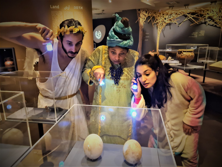 ציפורי לילה במוזיאון ארצות המקרא בירושלים