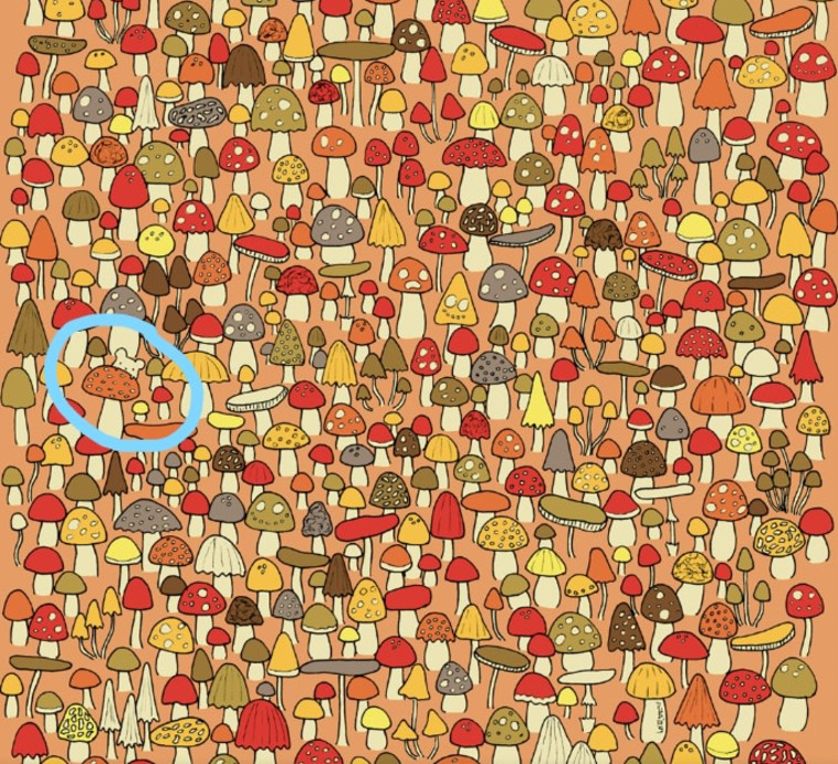 אם לא מצאתם את העכבר, התשובה לפניכם