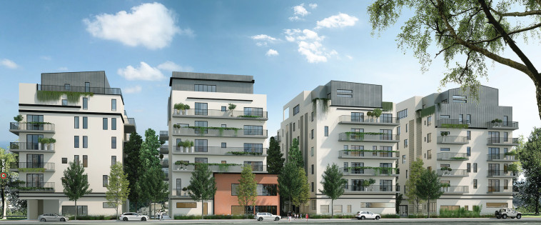 הדמייה עין גב