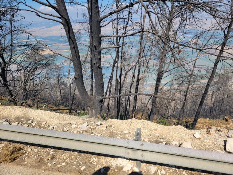 נזקי השריפה במנרה בגליל העליון (צילום: כב''ה צפון)