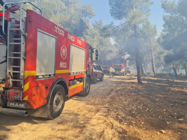 נזקי השריפה במנרה בגליל העליון