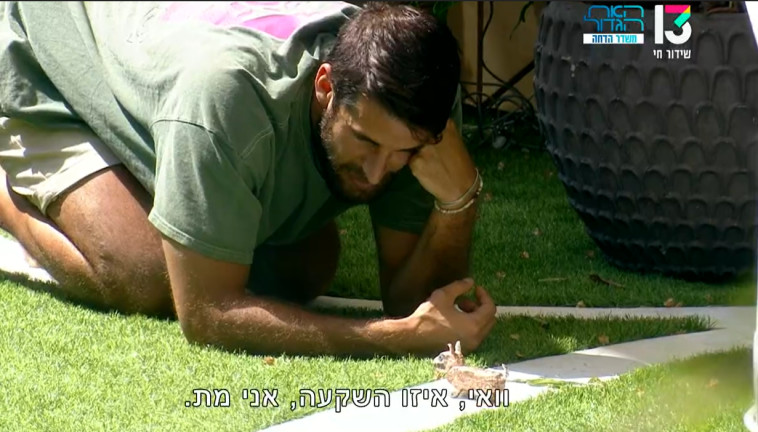 קרוב לעין, קרוב ללב &ndash; שחף ומיני &ndash; לואי ברגע אינטימי