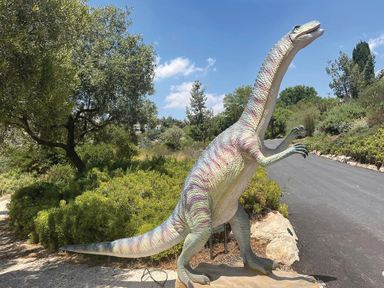 בוטניזאור בגן הבוטני בירושלים (צילום: און ארביב)
