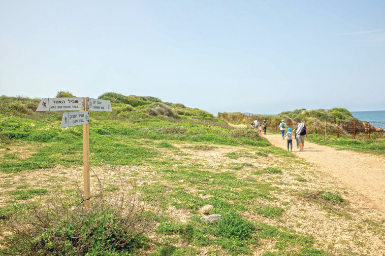רשות הטבע והגנים - גן לאומי פלמחים