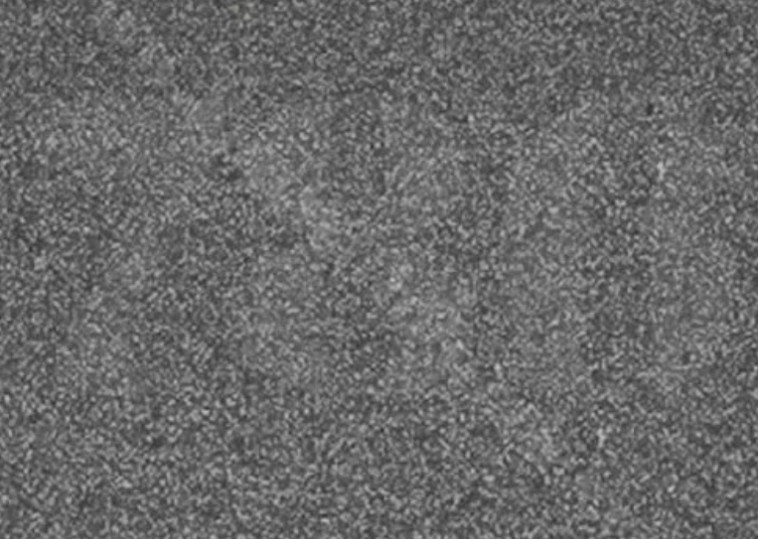 שלוש ספרות מסתתרות בתמונה הזו, מצליחים להבחין בהן?