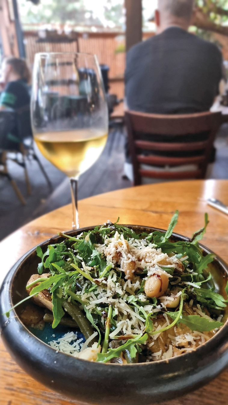 טרי בראסרי טרי בראסרי ארטישוקים בפלנצ'ה מכוסים בעלי רוקט