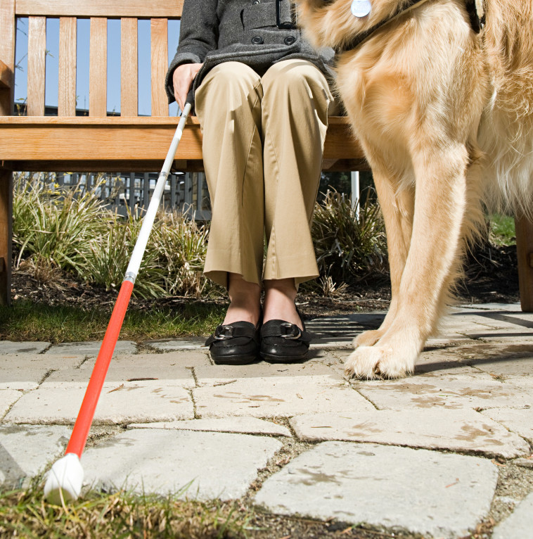 התחזתה לעיוורת במשך 28 שנה