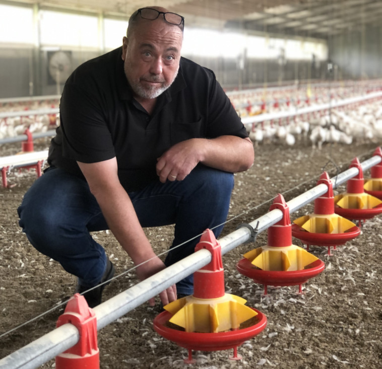 שלמה שיין והלולים שהוא בנה