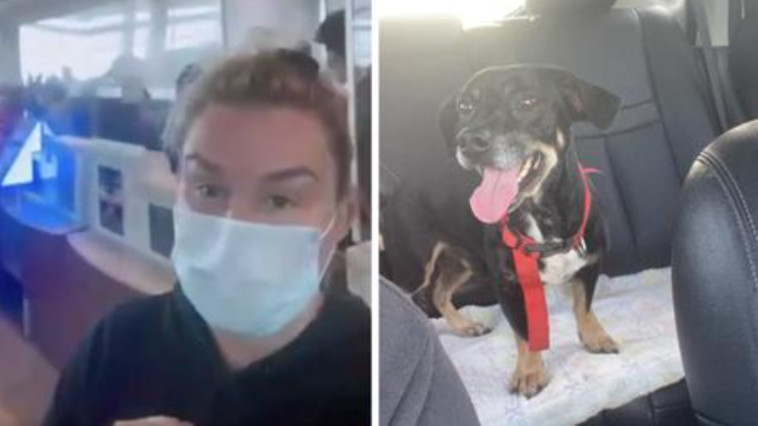 ג'נה באסט ווינסטון לאחר שנמצא