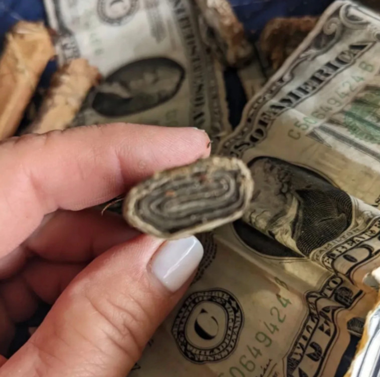 ''שטרות הכסף היו מגולגלים כמו סיגרים קטנים''