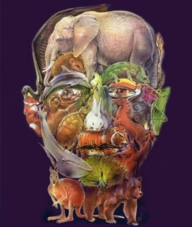 כמה חיות אתם רואים בתמונה הזו?